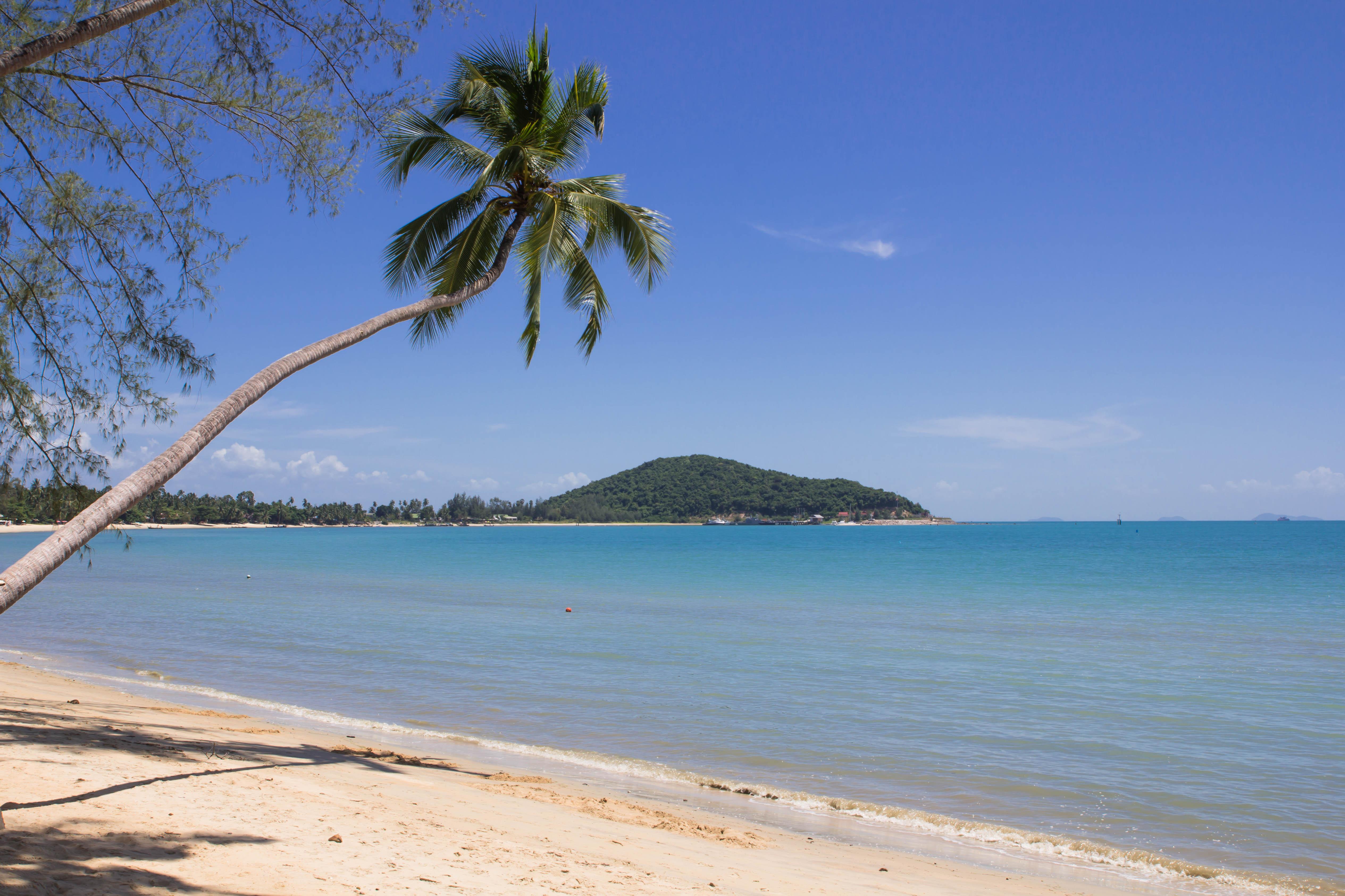 Rajapruek Samui Resort - Sha Plus Lipa Noi Luaran gambar